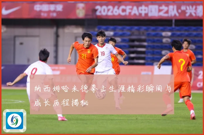 纳西姆哈米德拳击生涯精彩瞬间与成长历程揭秘
